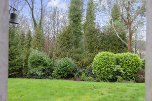 Photo 35- click for photo gallery